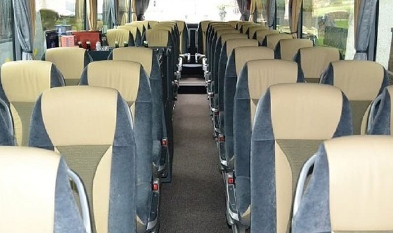 France: Coach operator in Europe, France